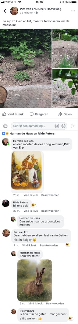 facebook-Herman
