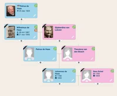 stamreeks Piet de Haas