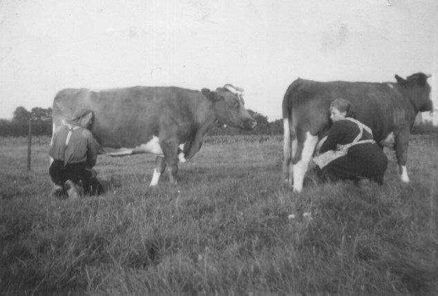 Harry Theunissen en Mien van Overbeek aan het melken.